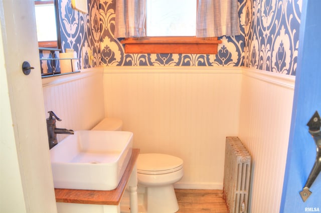 644 S Randolph St, Macomb, IL 61455 - half bath featuring radiator, a wainscoted wall, toilet, wood finished floors, and a sink