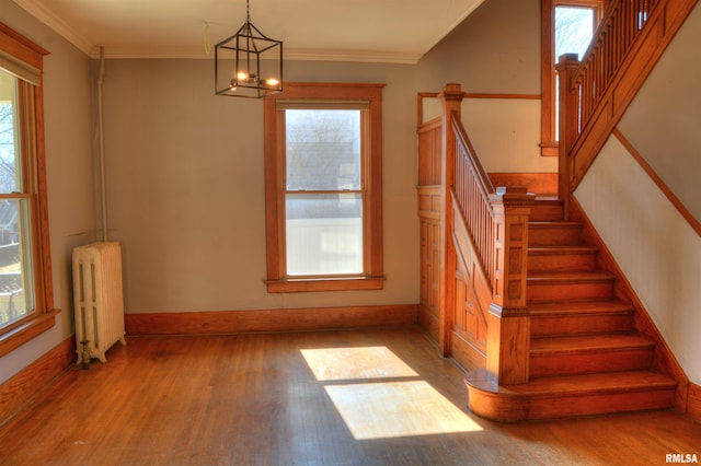 644 S Randolph St, Macomb, IL 61455 - staircase with a notable chandelier, crown molding, radiator, wood finished floors, and baseboards