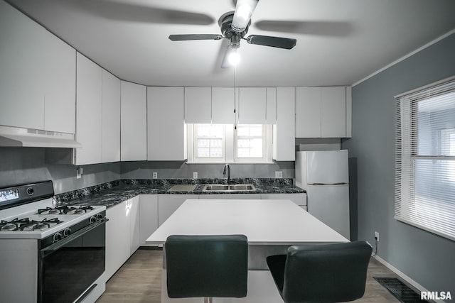 kitchen featuring under cabinet range hood, a sink, freestanding refrigerator, a center island, and gas range oven