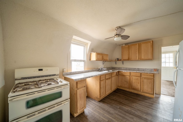 kitchen with light countertops, white appliances, plenty of natural light, and a sink