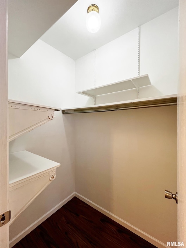 walk in closet with dark wood-type flooring