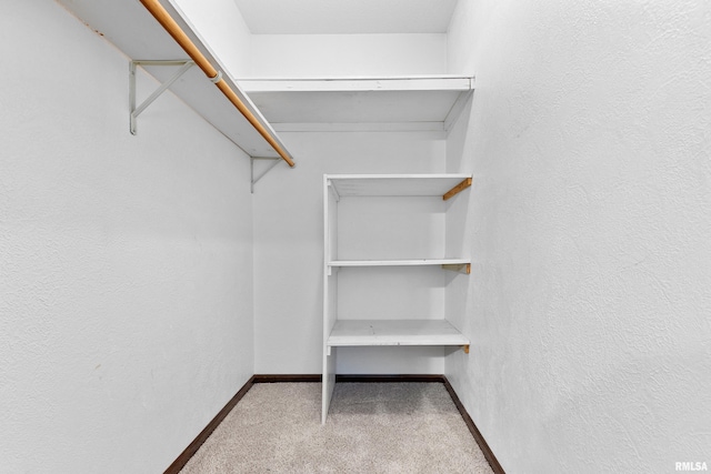 walk in closet featuring carpet