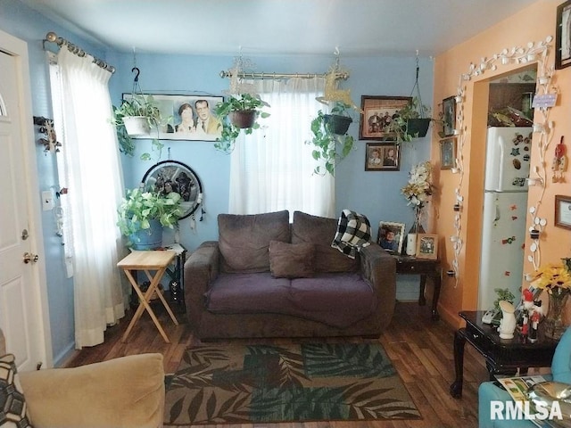 living area featuring wood finished floors