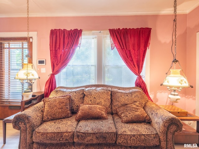 living area with ornamental molding and wood finished floors