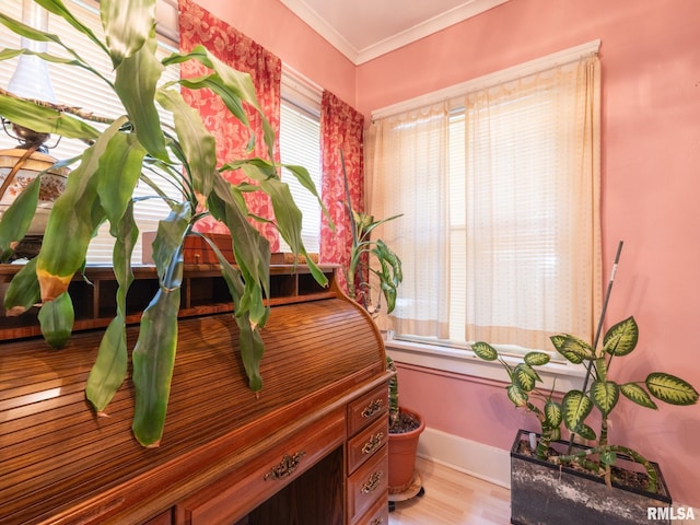 room details featuring ornamental molding, baseboards, and wood finished floors