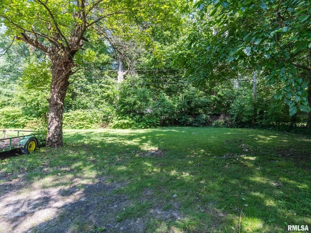 view of yard with a view of trees