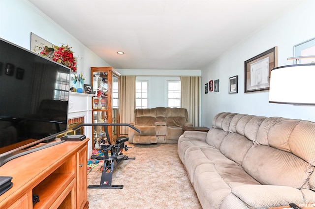 living room with a fireplace and carpet flooring