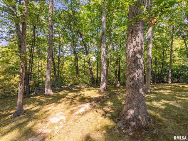 view of local wilderness featuring a view of trees