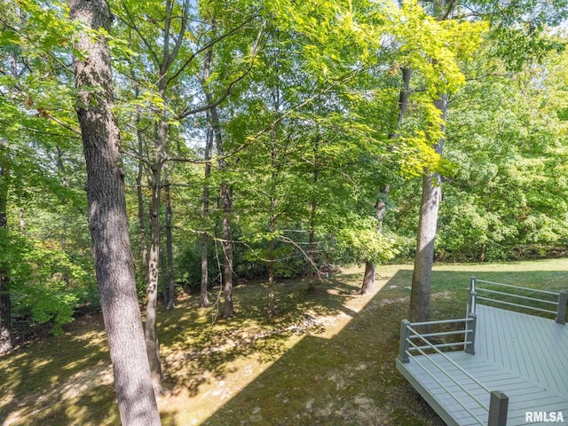 view of yard featuring a deck