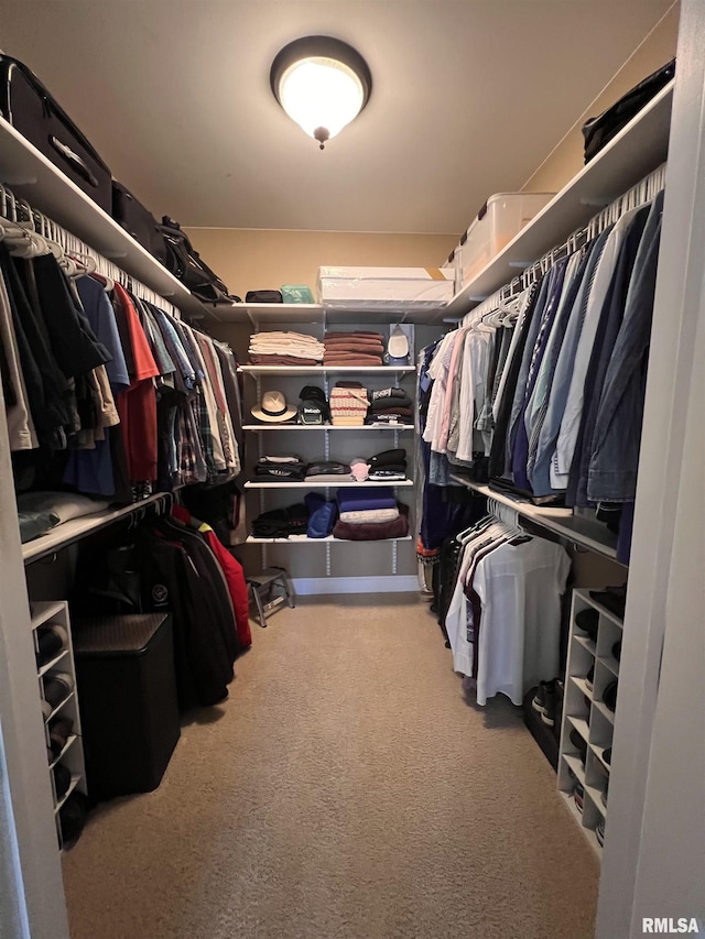 spacious closet with carpet