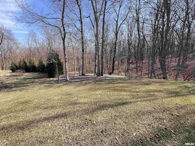 view of yard featuring a wooded view