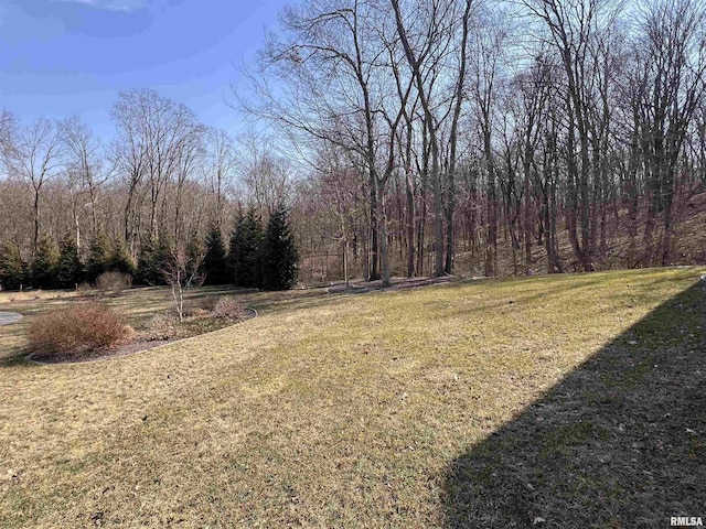 view of yard featuring a wooded view