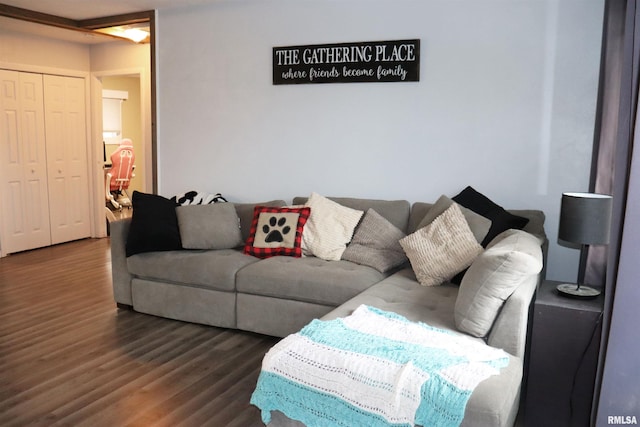 living room featuring wood finished floors