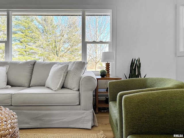 living area featuring wood finished floors