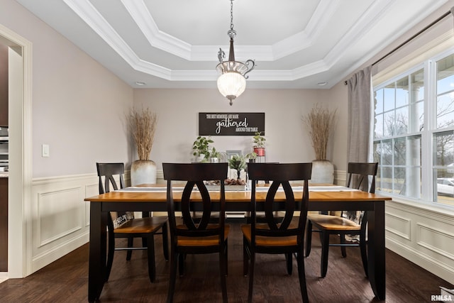 dining space featuring dark wood-style floors, a tray ceiling, a wainscoted wall, and ornamental molding