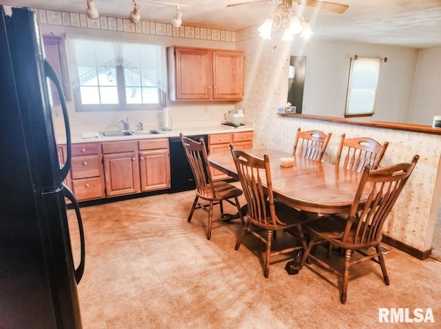 dining area with track lighting and a ceiling fan