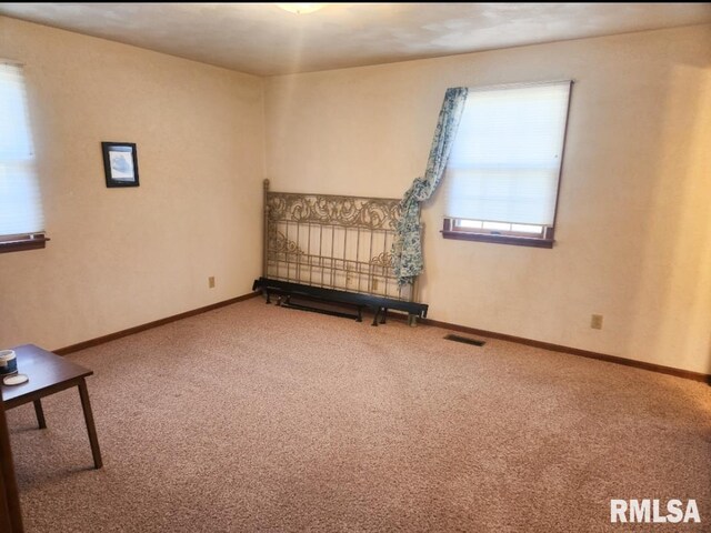 interior space with carpet floors, visible vents, and baseboards