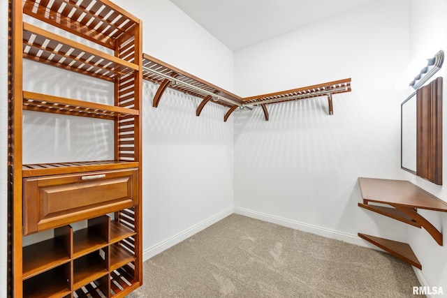 spacious closet featuring carpet flooring