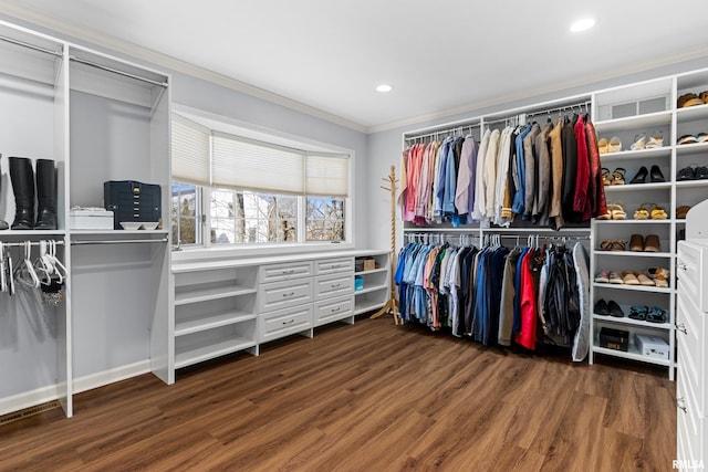 spacious closet featuring wood finished floors