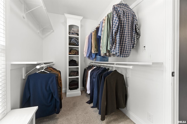 spacious closet with carpet