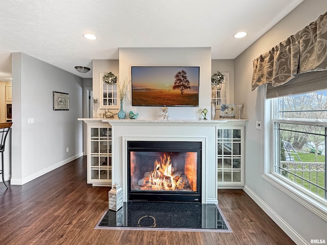 details featuring recessed lighting, baseboards, wood finished floors, and a fireplace with flush hearth