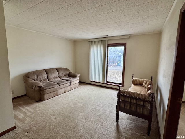 living area with carpet and baseboards