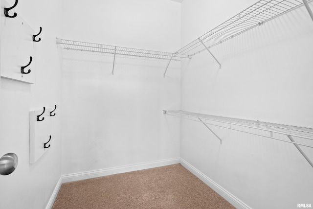 spacious closet with carpet flooring