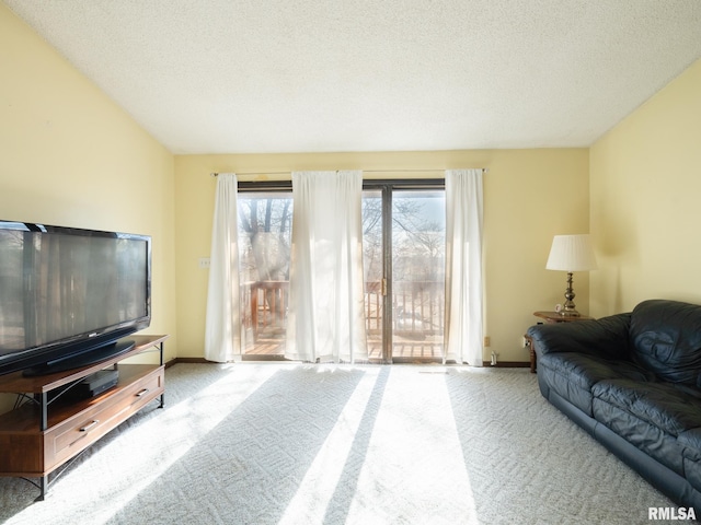 carpeted living area with baseboards and a textured ceiling