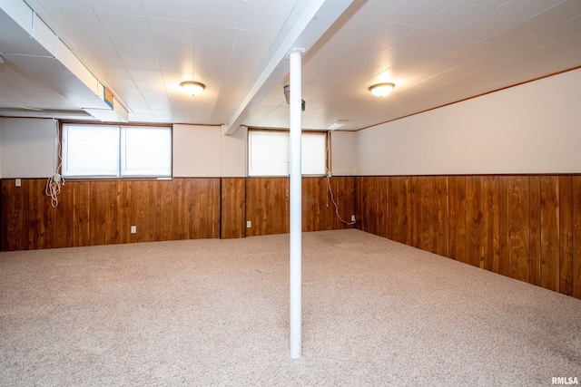 below grade area featuring a wainscoted wall, wood walls, and carpet