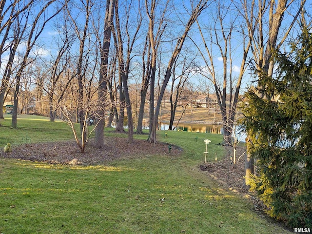 view of yard featuring a water view