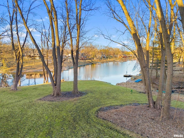 view of yard featuring a water view