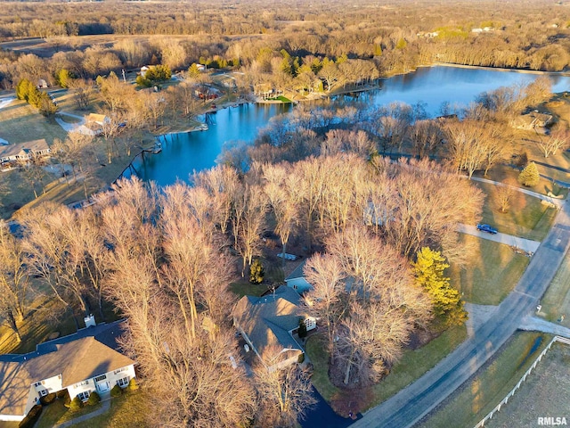 drone / aerial view with a water view and a wooded view