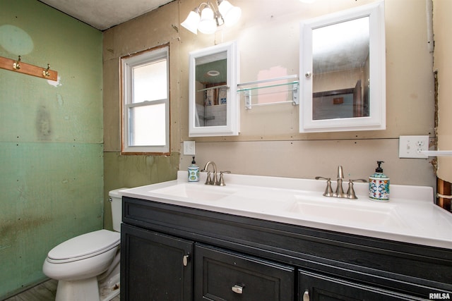 full bathroom featuring a sink, toilet, and double vanity