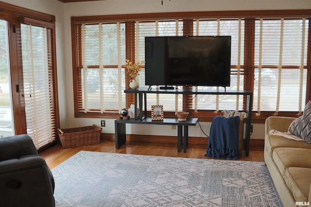 living area featuring wood finished floors and a healthy amount of sunlight