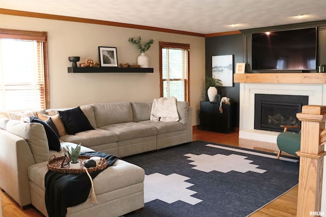 living area with a fireplace, wood finished floors, and crown molding