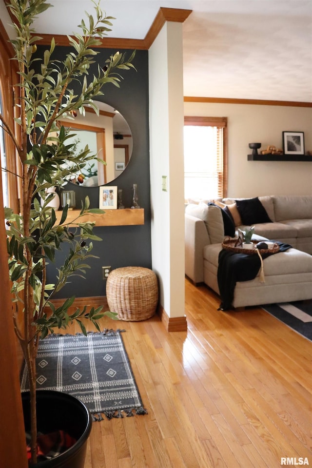 living area featuring crown molding, baseboards, and hardwood / wood-style floors