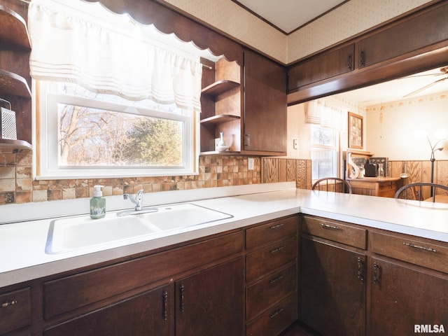 kitchen featuring open shelves, dark brown cabinetry, light countertops, decorative backsplash, and a sink