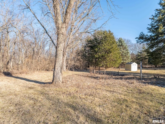 view of yard with an outdoor structure and a storage unit