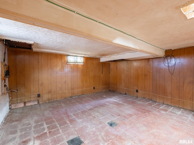 basement with wooden walls