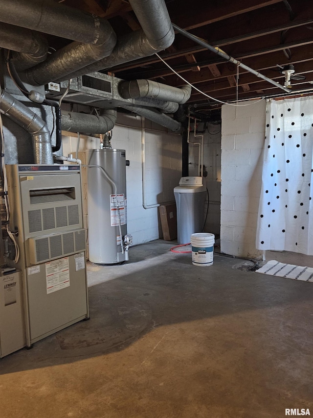 unfinished below grade area featuring heating unit and gas water heater