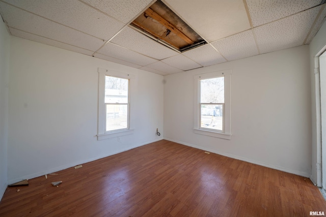 unfurnished room featuring a wealth of natural light, a drop ceiling, and wood finished floors