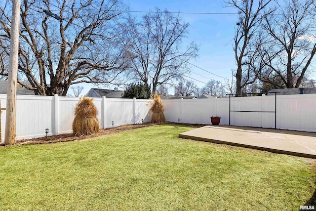 view of yard with a fenced backyard and a patio area