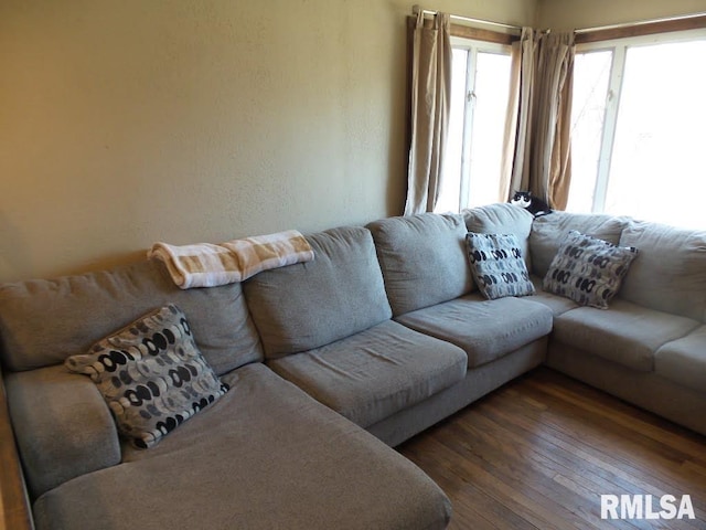 living room with hardwood / wood-style flooring