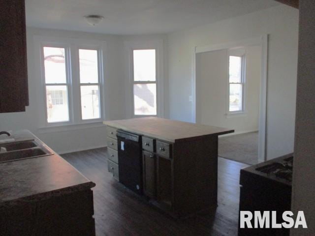 kitchen with dark wood finished floors, a healthy amount of sunlight, black dishwasher, and a sink