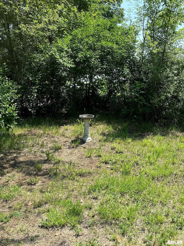 19427 E County Road 2118 Rd N, Havana, IL 62644 - photo 3