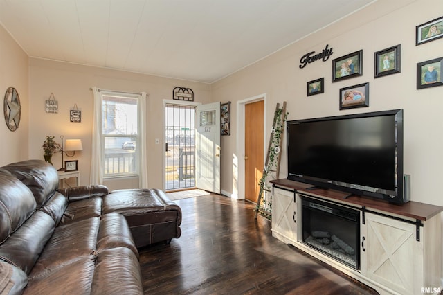 living room featuring dark wood-type flooring