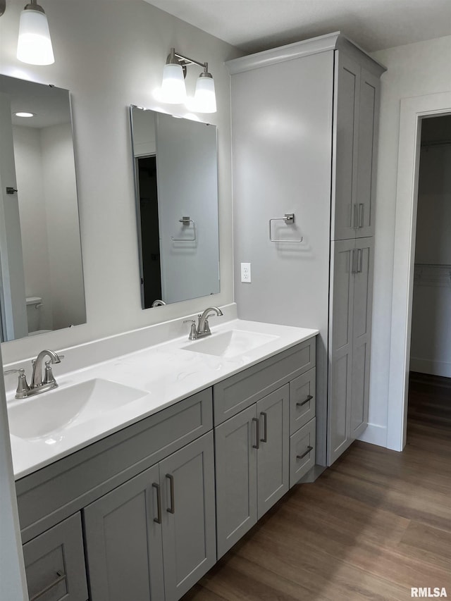 bathroom with wood finished floors, double vanity, a sink, and a closet
