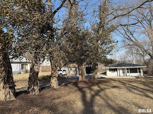 view of yard with driveway