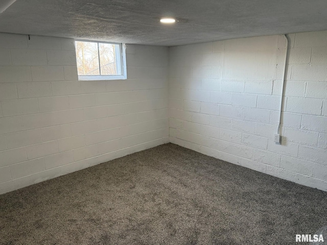 below grade area featuring concrete block wall and carpet floors