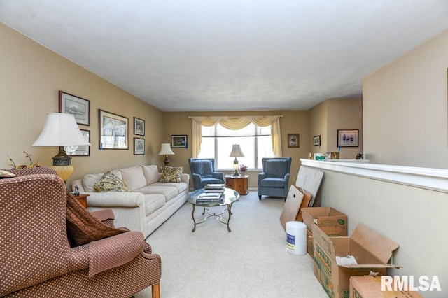 living area featuring carpet floors